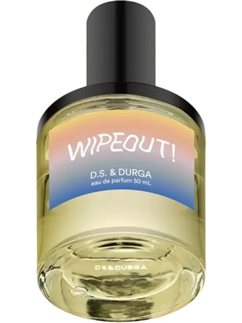 Wipeout! by D.S. & Durga