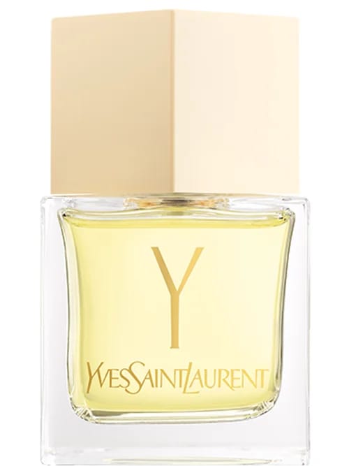 Y : La Collection by Yves Saint Laurent