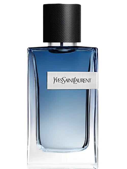 Y Live Intense by Yves Saint Laurent