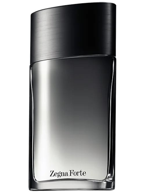 Zegna Forte by Ermenegildo Zegna