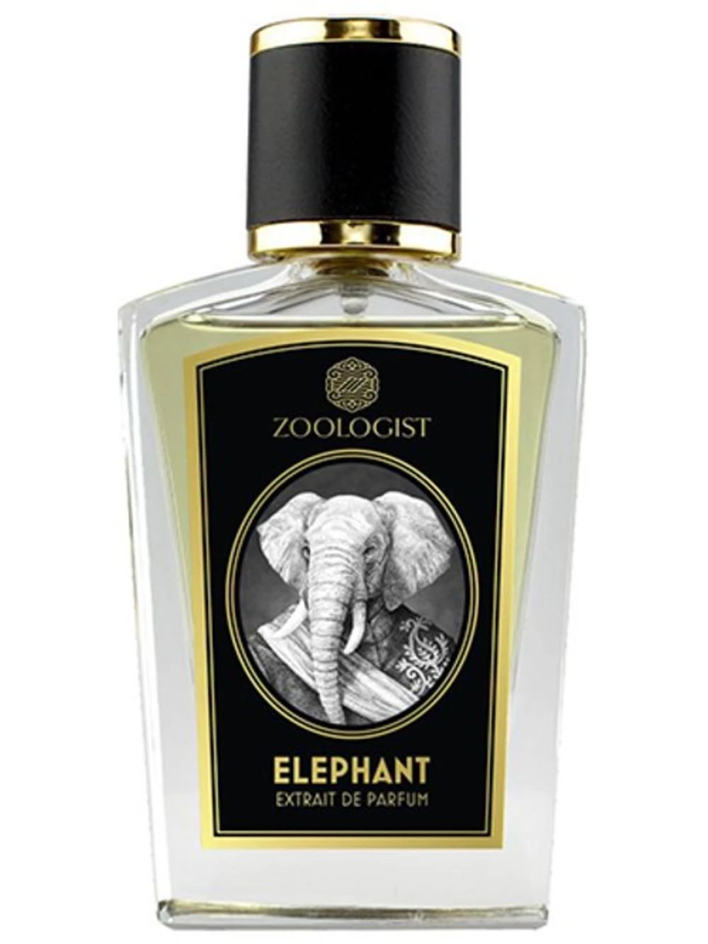 Elephant by Zoologist