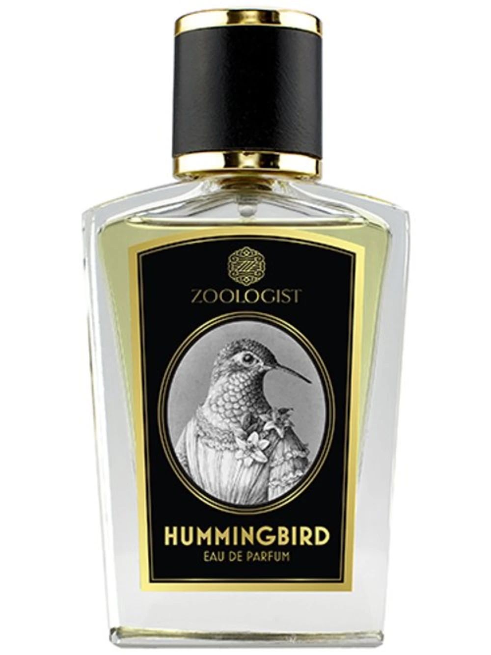 Hummingbird by Zoologist