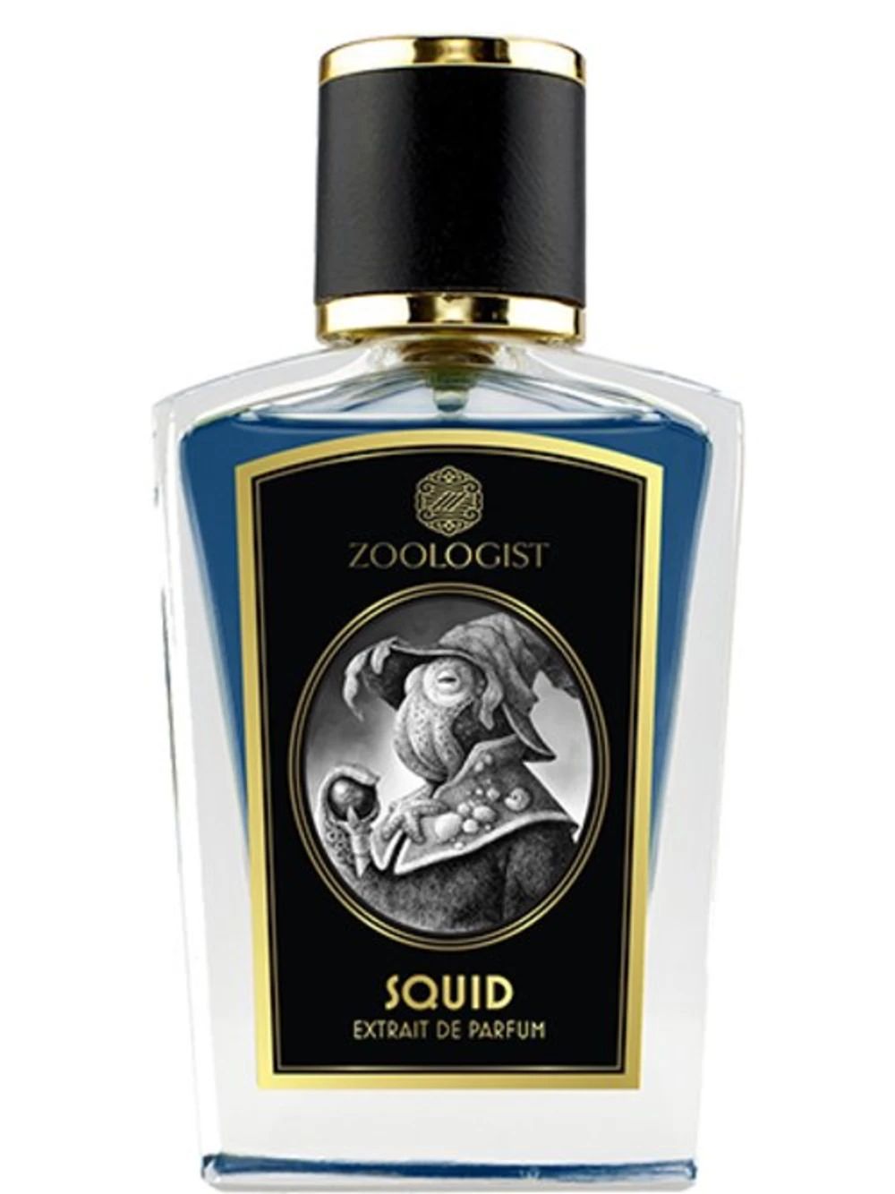 Squid by Zoologist