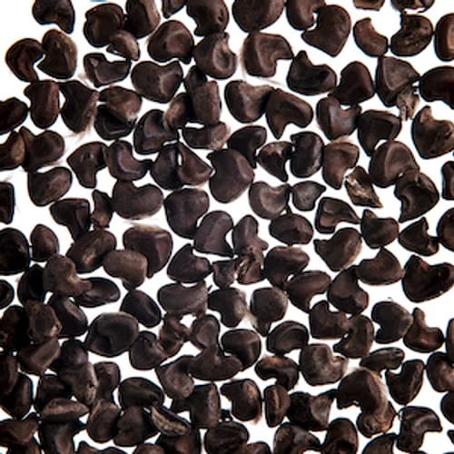 Ambrette Seed