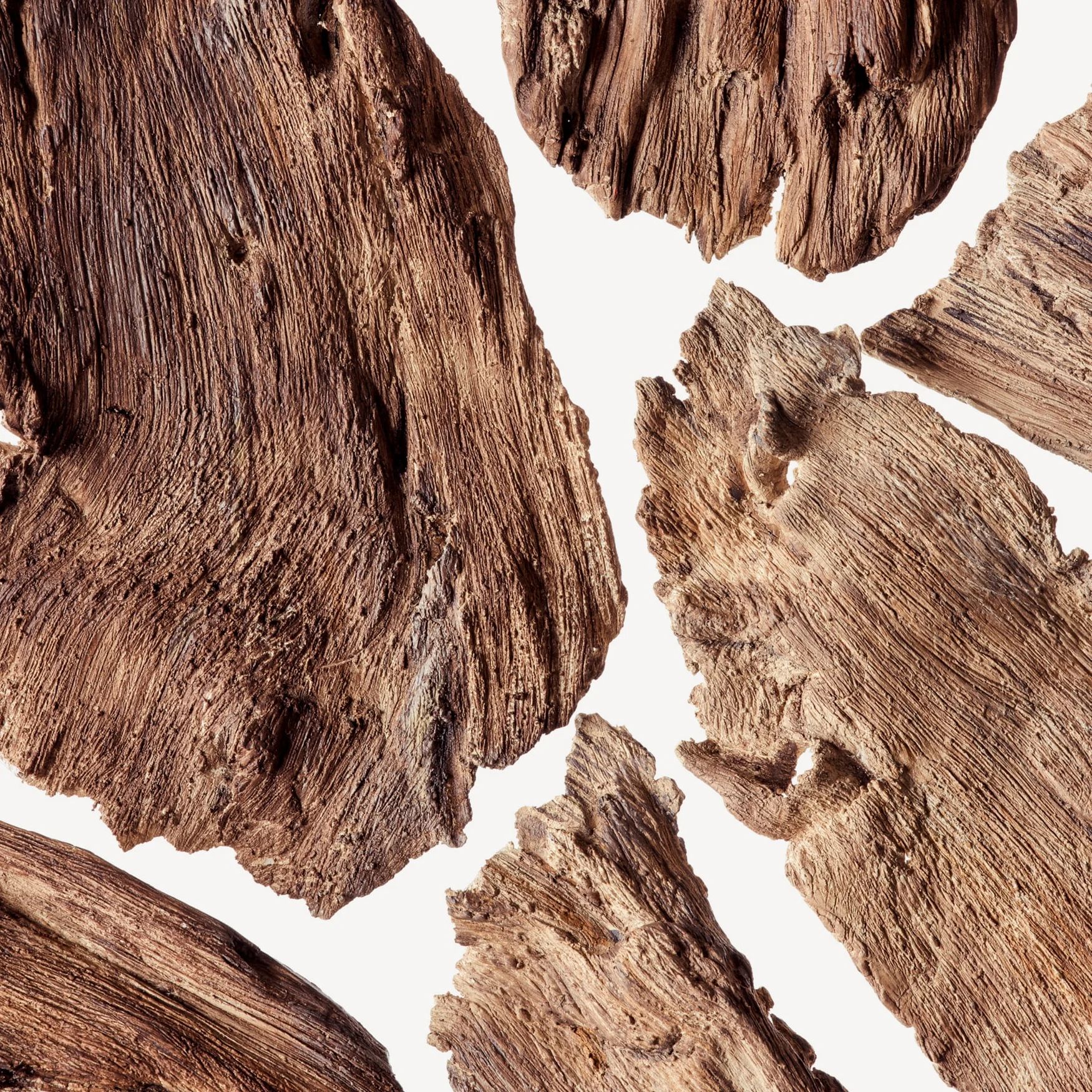 Cedramber (Cedarwood Note)