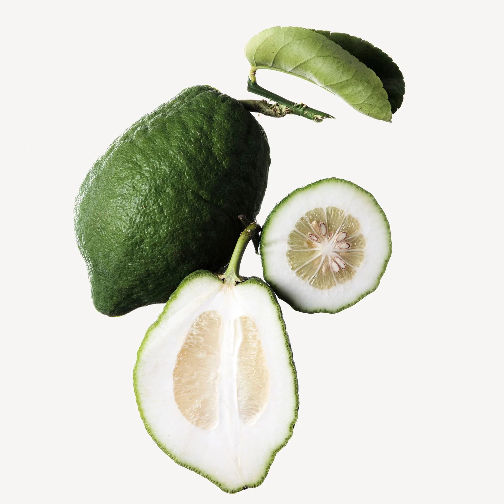 Cedrat