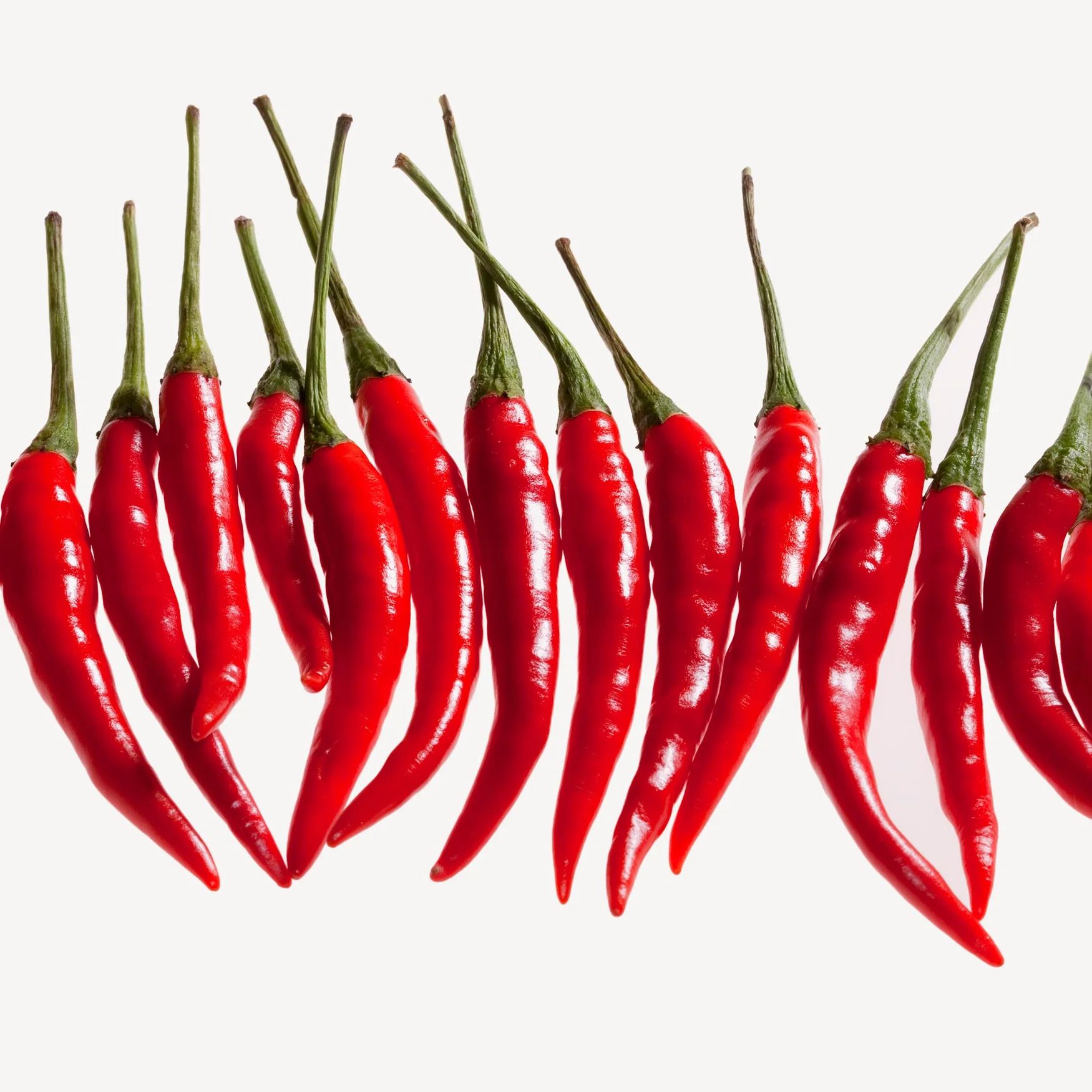 Chilipepper