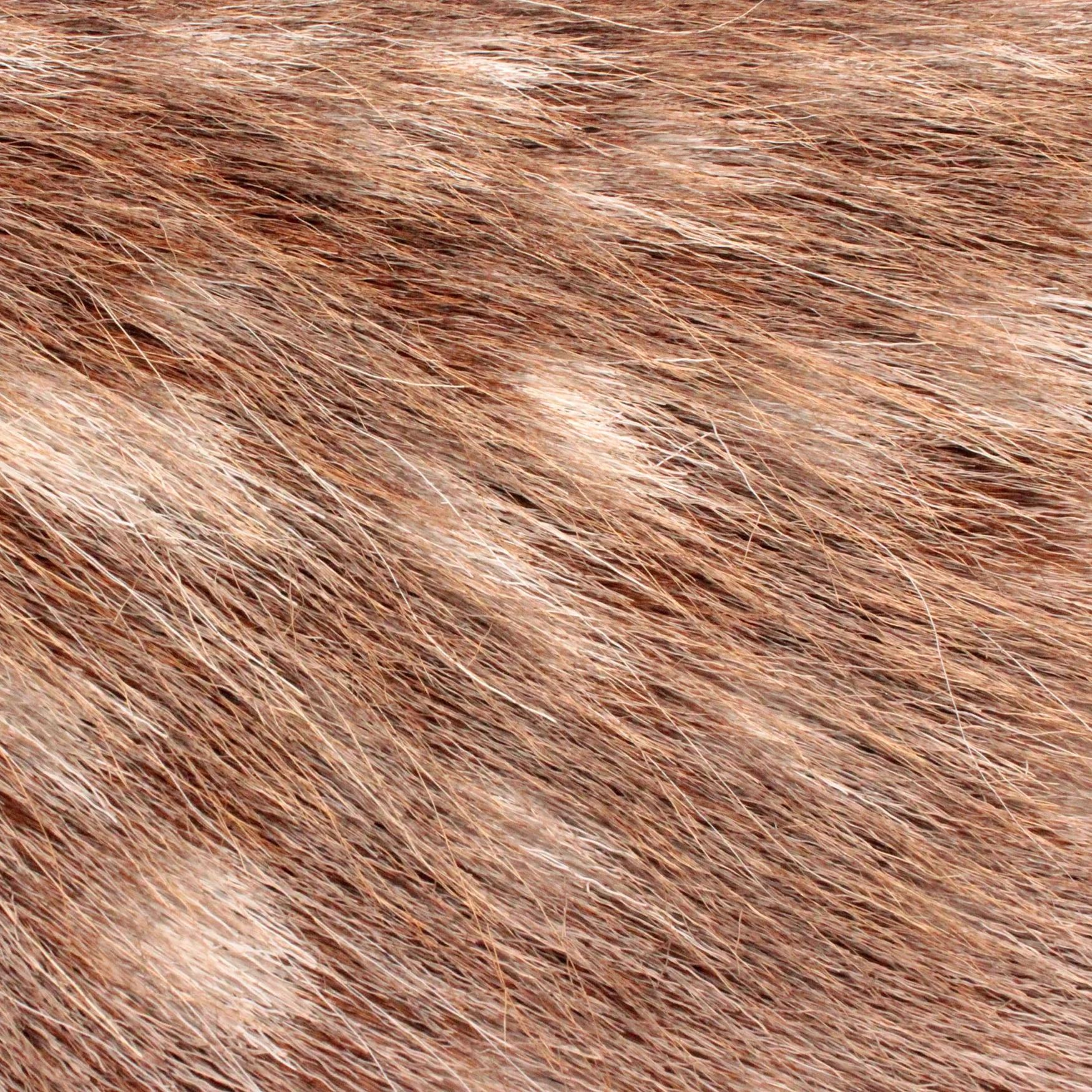 Civetone (Animal Note)