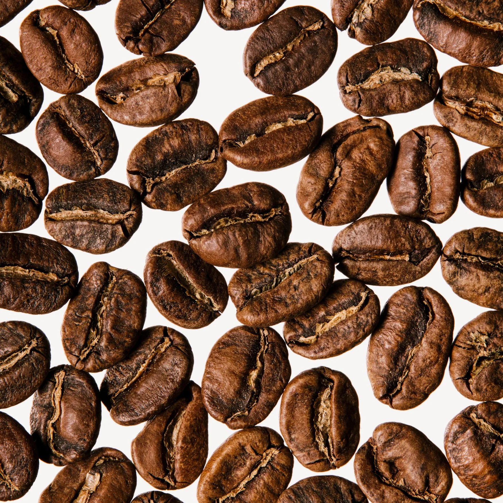 Coffee (Arabica)