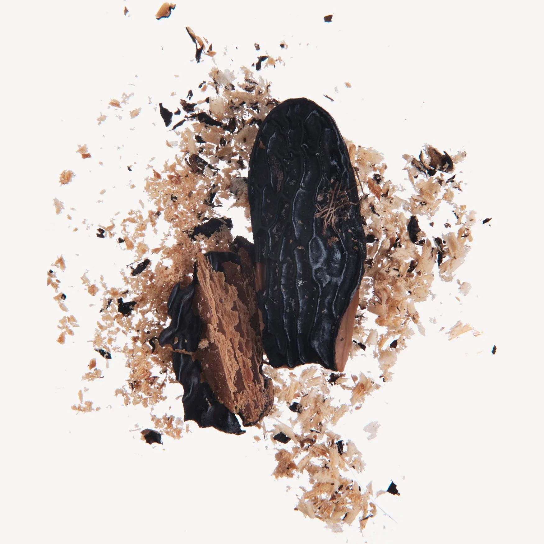 Coumarin (Tonka Bean Note)
