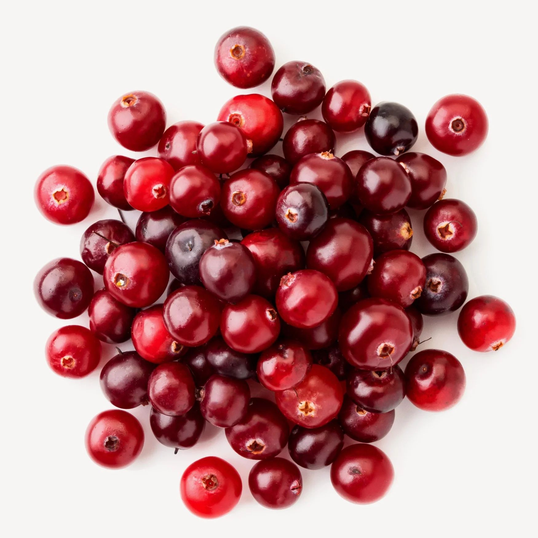 Cranberry