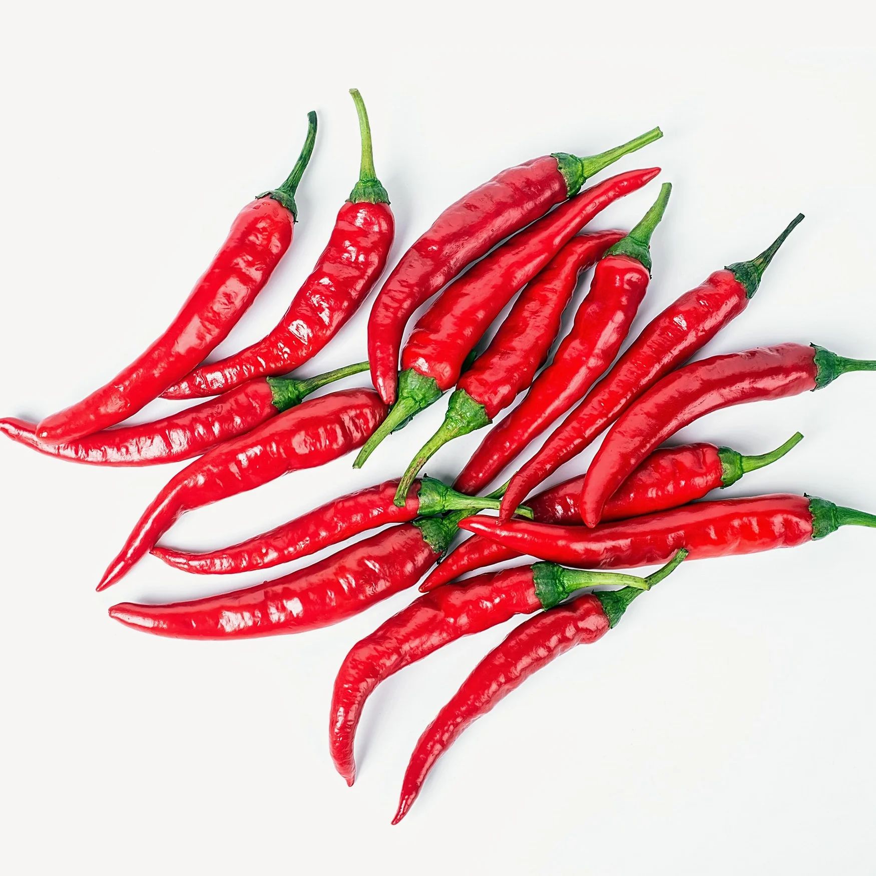 Hot Pepper