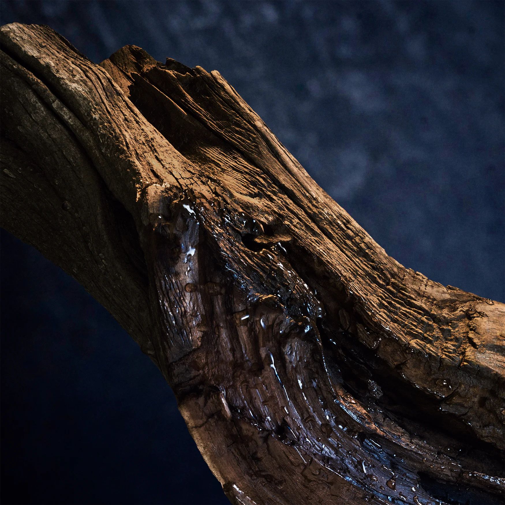 Invictus Opulent Wood