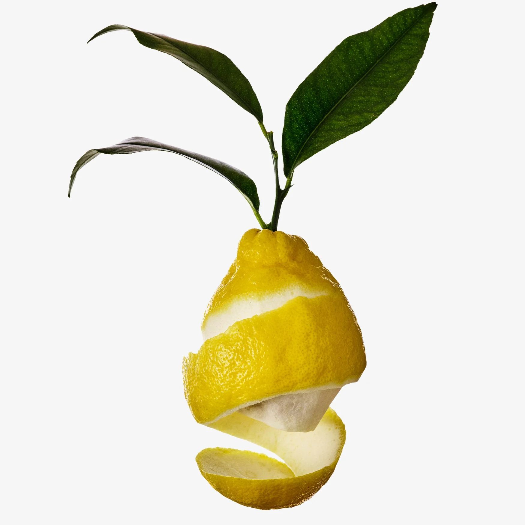Lemon Zest