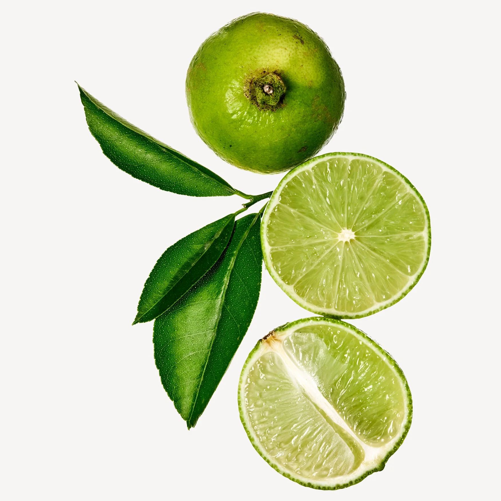 Lime (Persian)