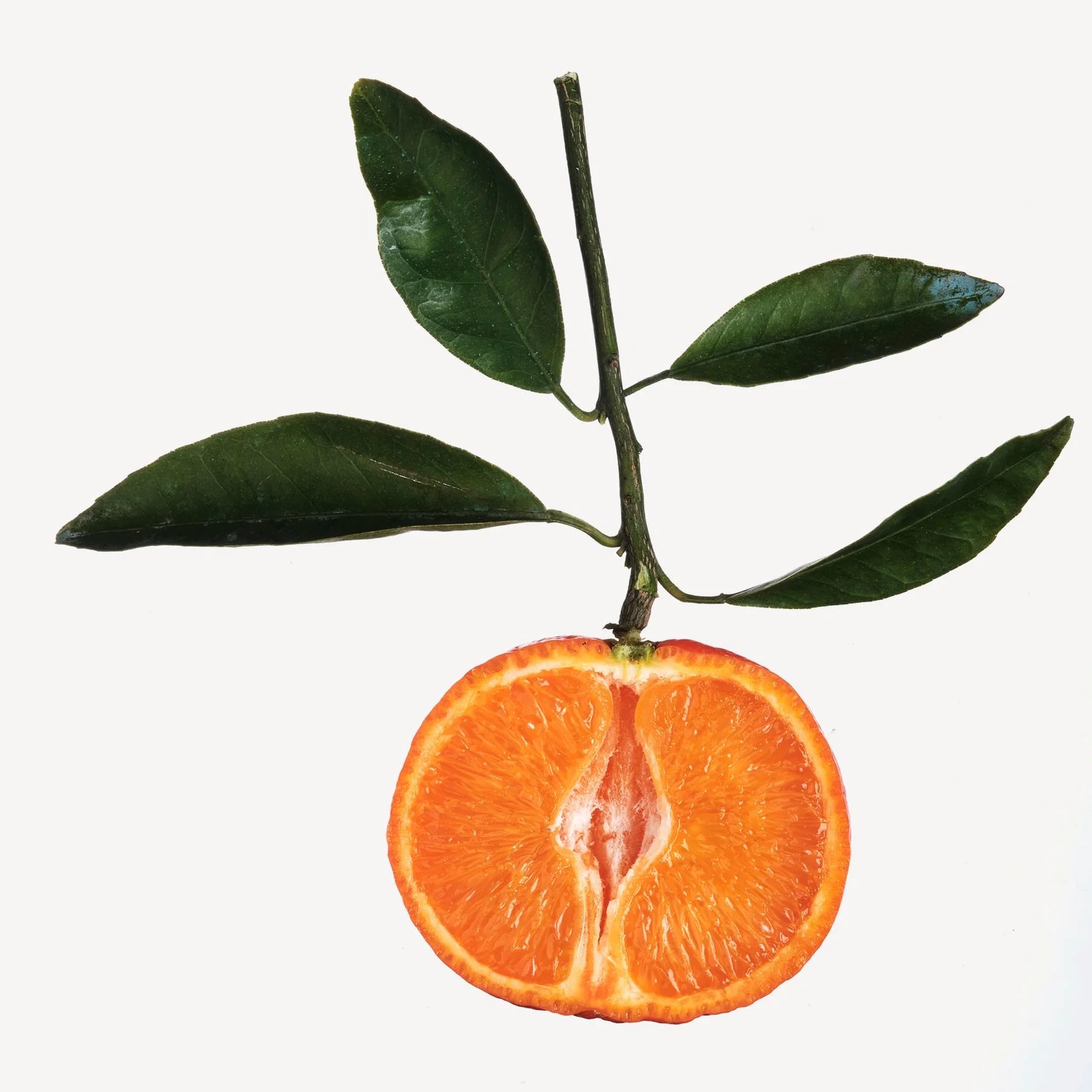 Mandarin (Red)