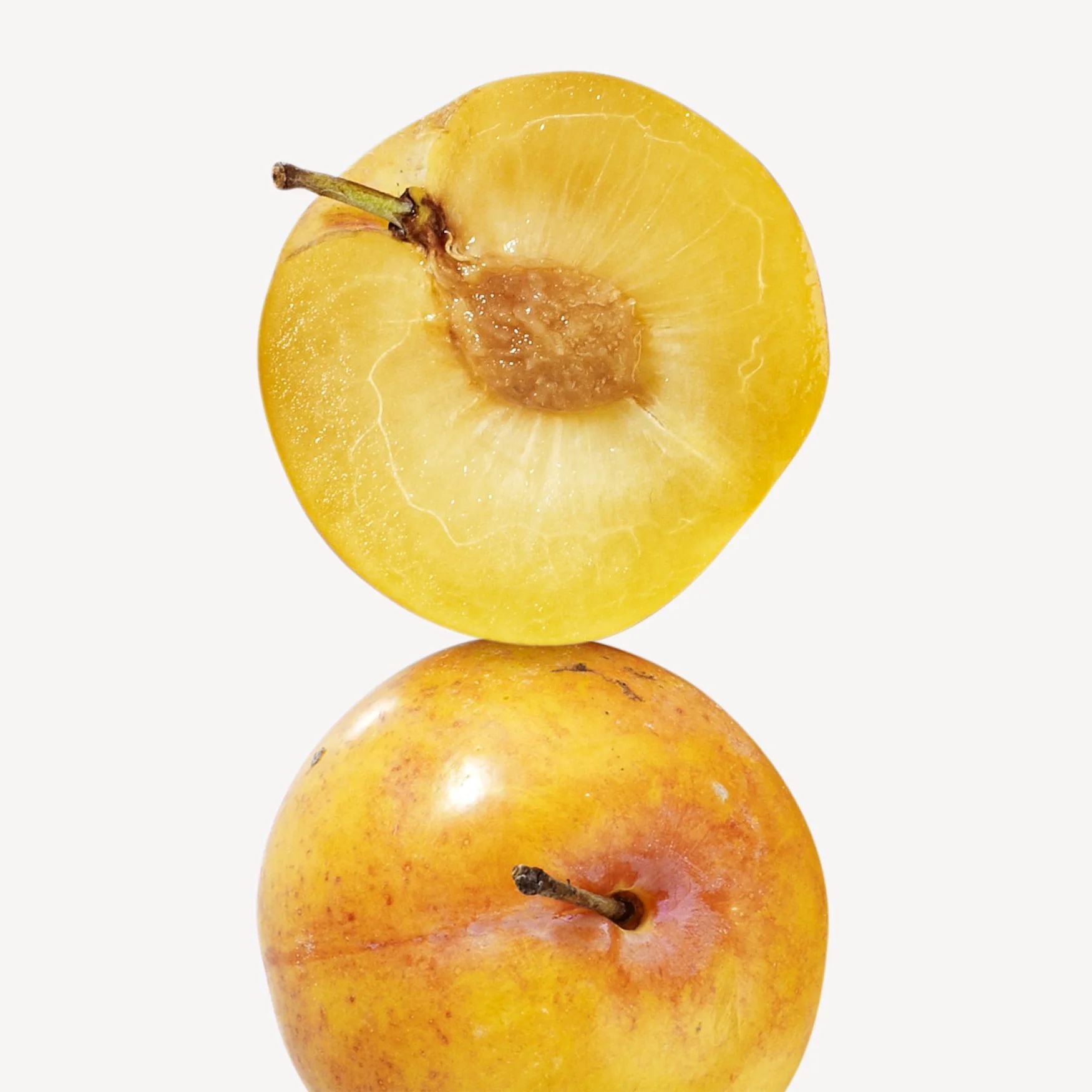 Mirabelle (Plum)