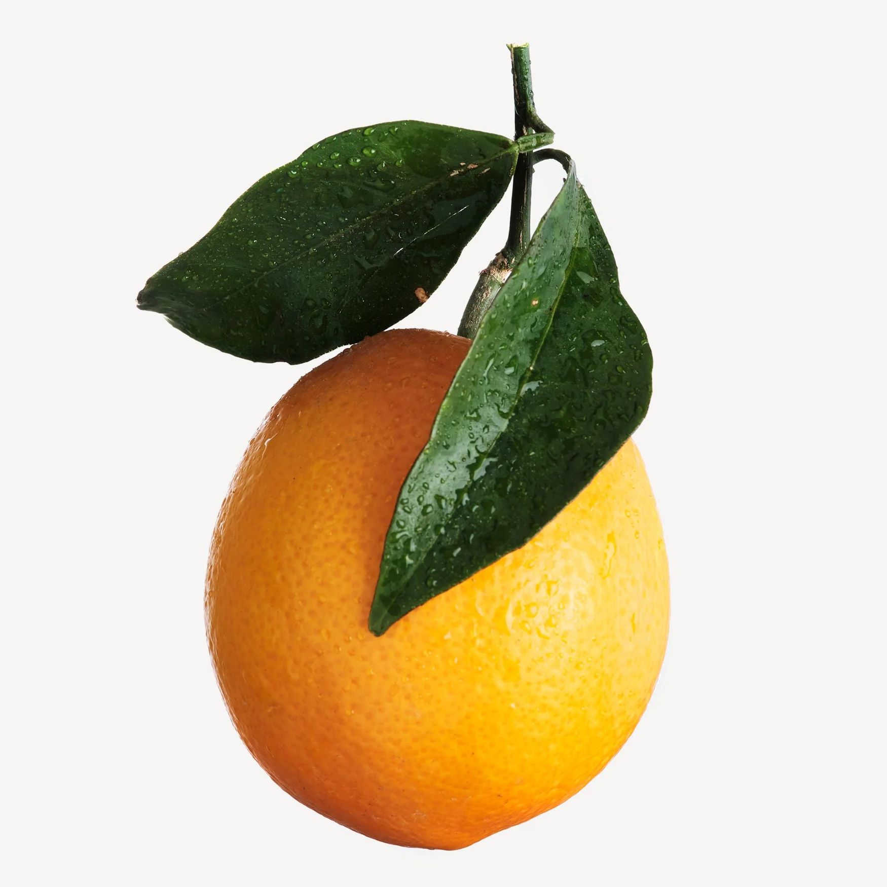 Orange (Valencia)