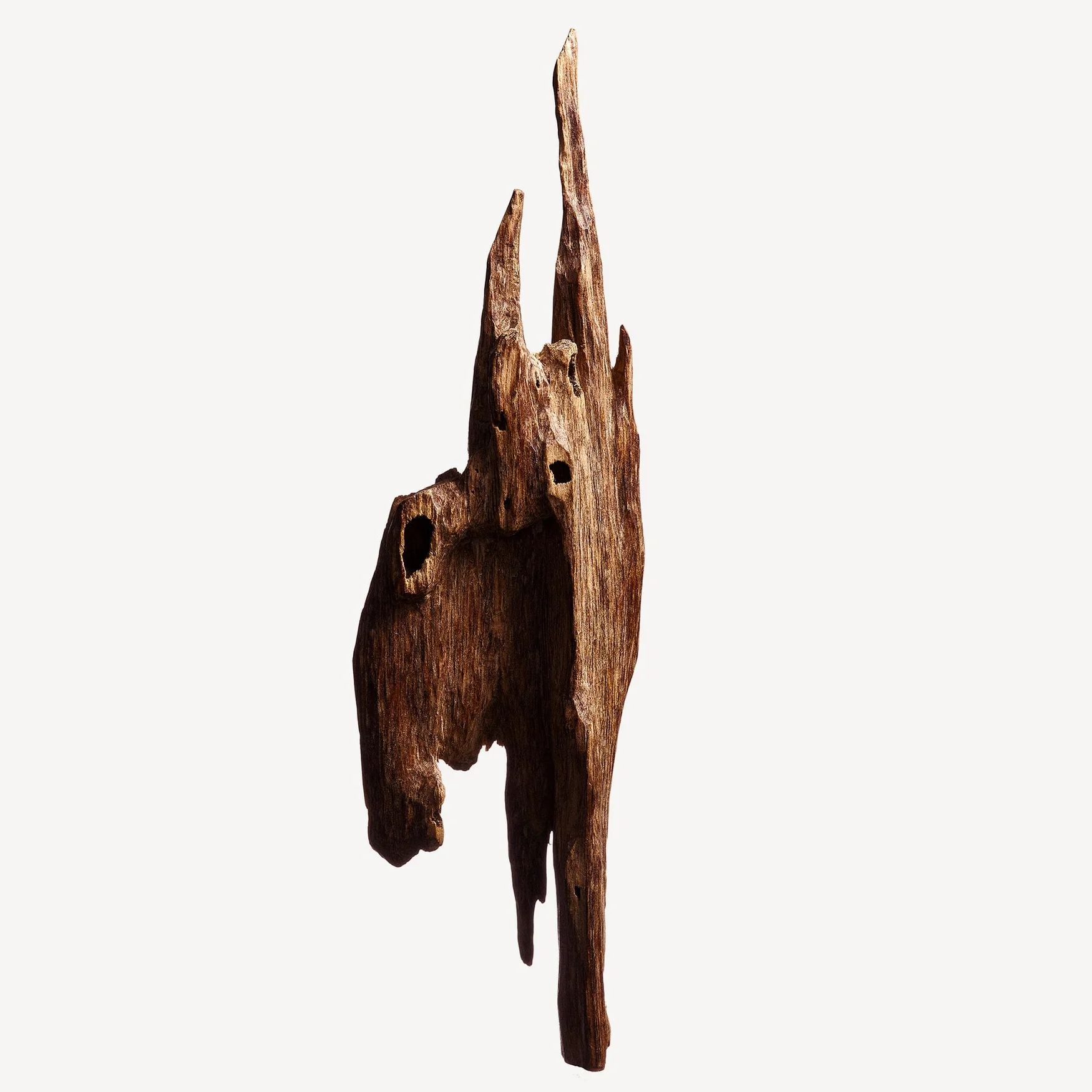 Oud / Agarwood