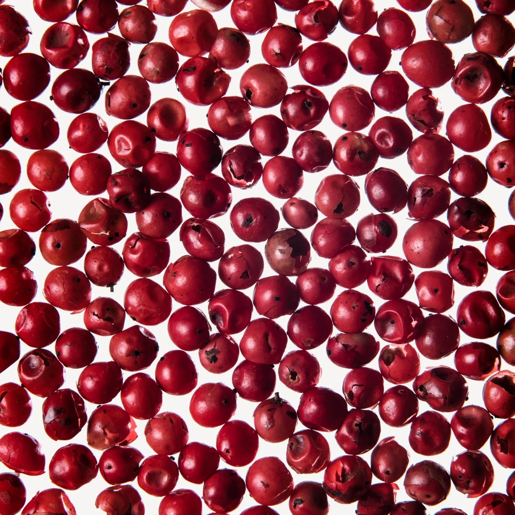 Pink Pepper
