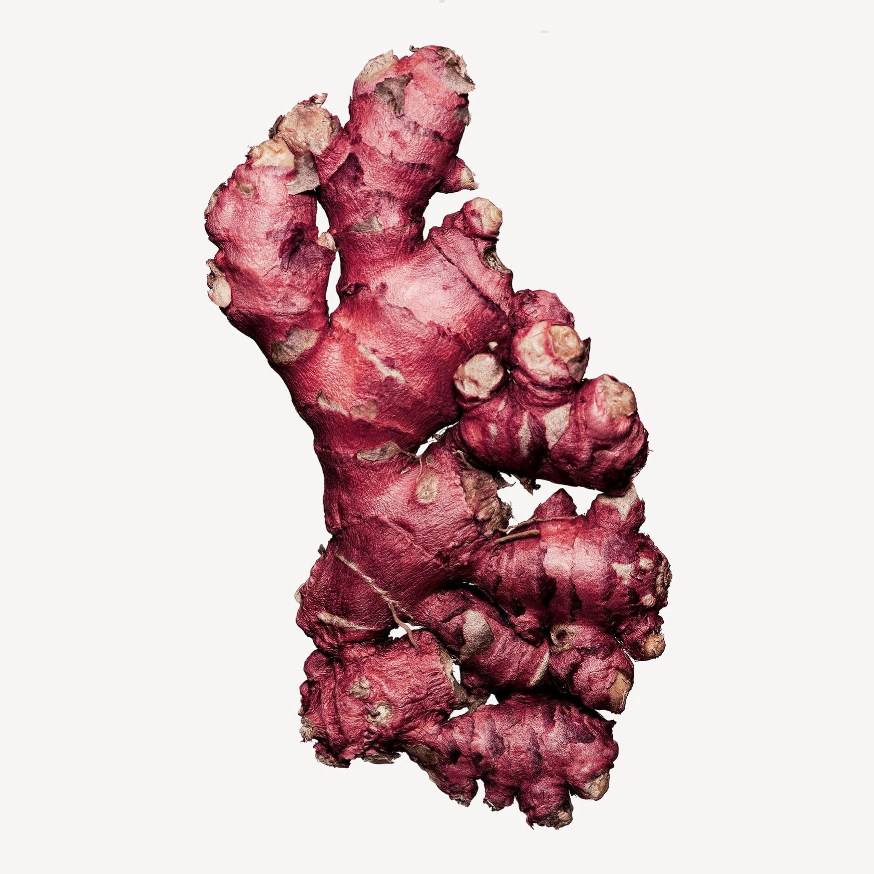 Red Ginger