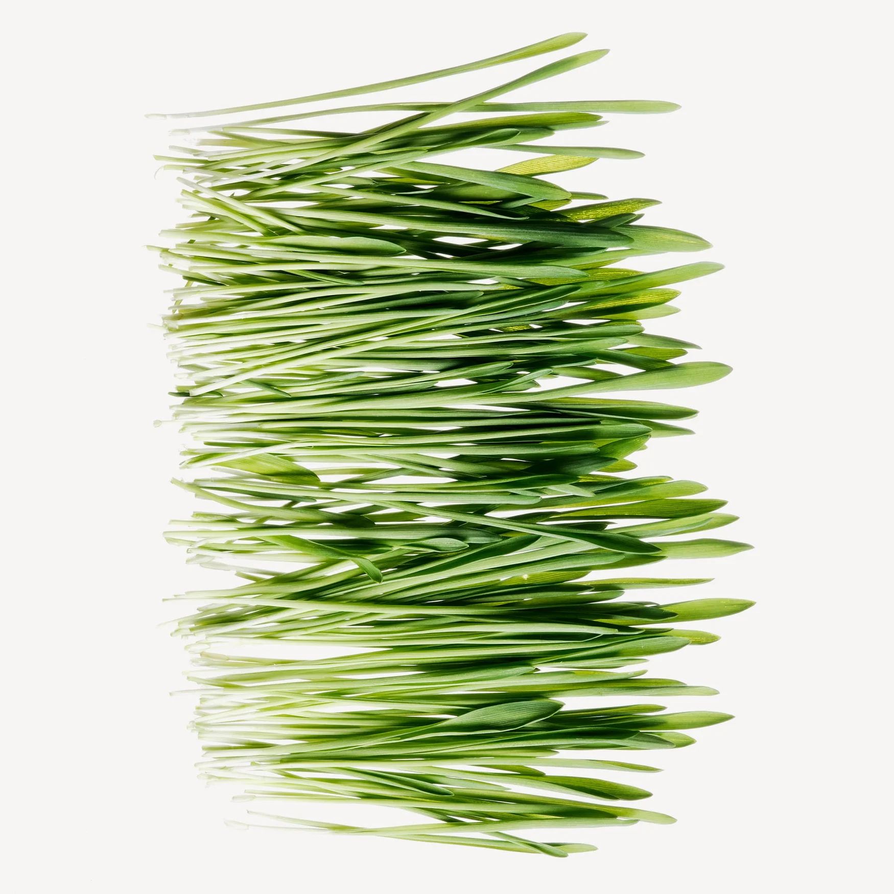 Triplal (Green Note)