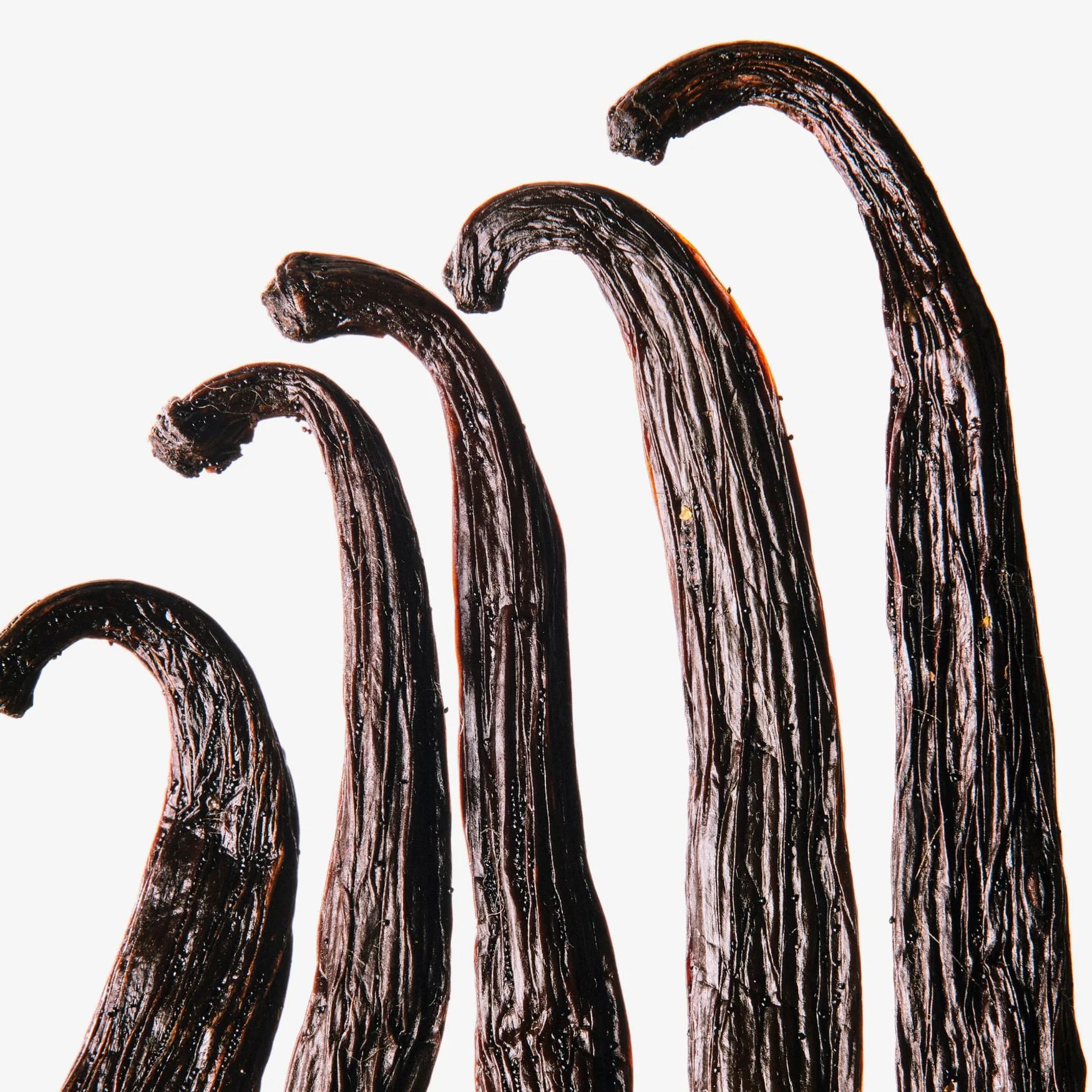 Vanillin (Vanilla Note)