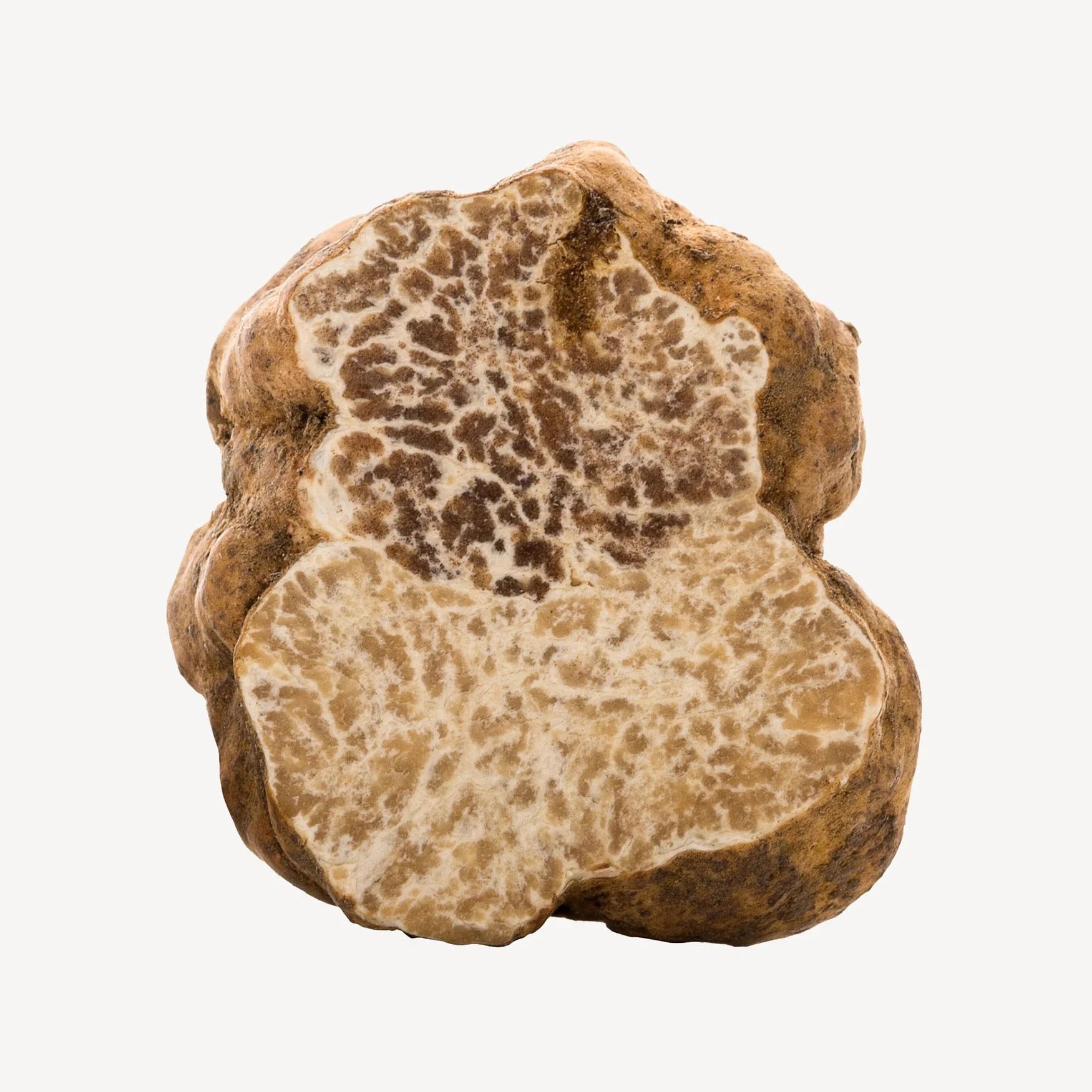 White Truffle